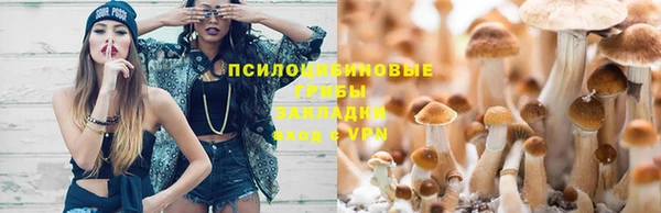 прущая мука Алзамай