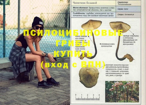 прущие крисы Алексин