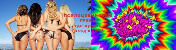 прущие крисы Алексин
