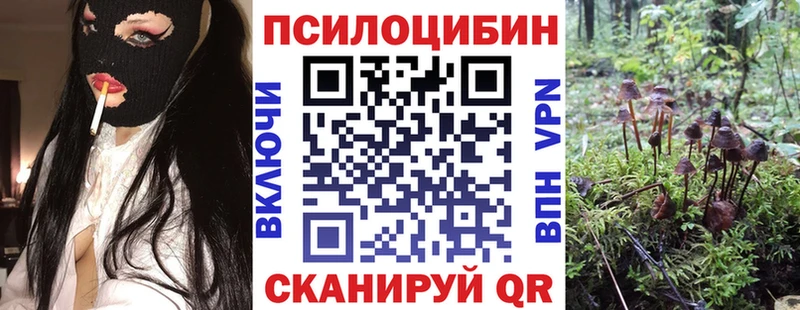 где продают наркотики  кракен tor  Псилоцибиновые грибы Magic Shrooms  Аша 