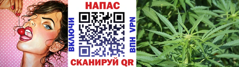 Шишки марихуана Amnesia Аша